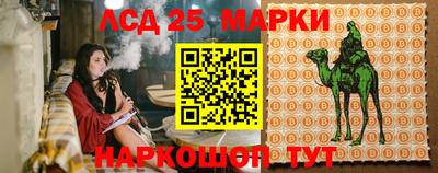 spice Кулебаки
