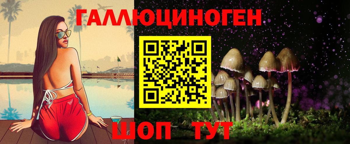 Галлюциногенные грибы прущие грибы  Вход с VPN  Калуга 