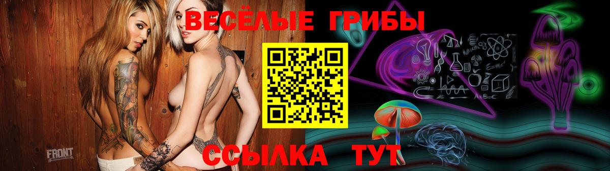 Псилоцибиновые грибы GOLDEN TEACHER Калуга